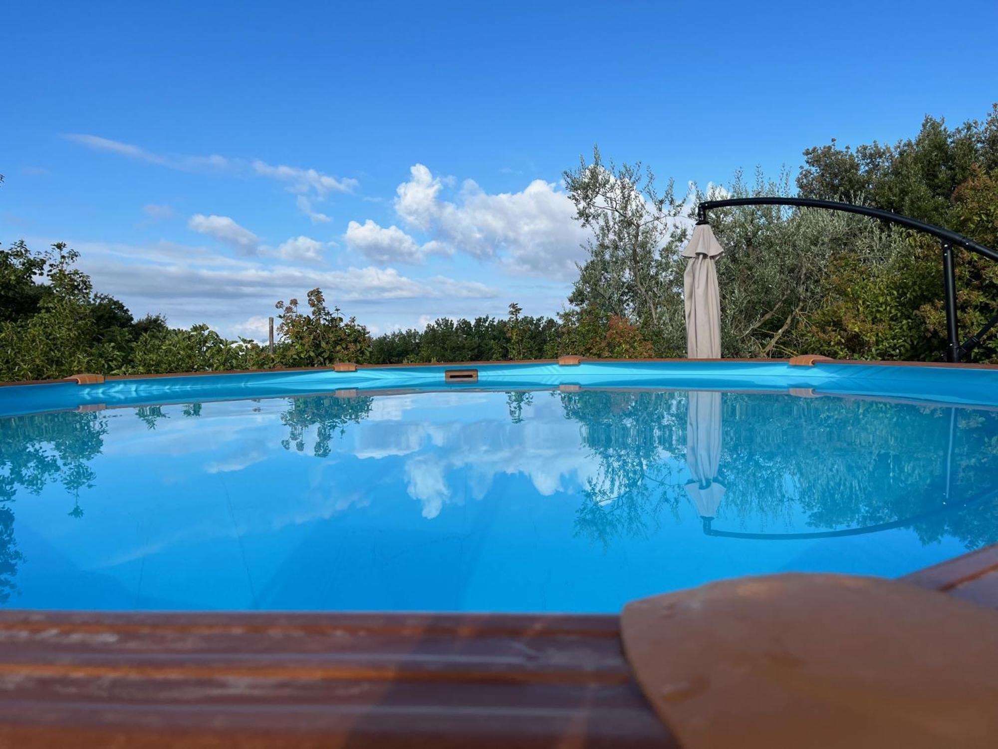 Agriturismo Podere Dell' Olmo Амелія Екстер'єр фото