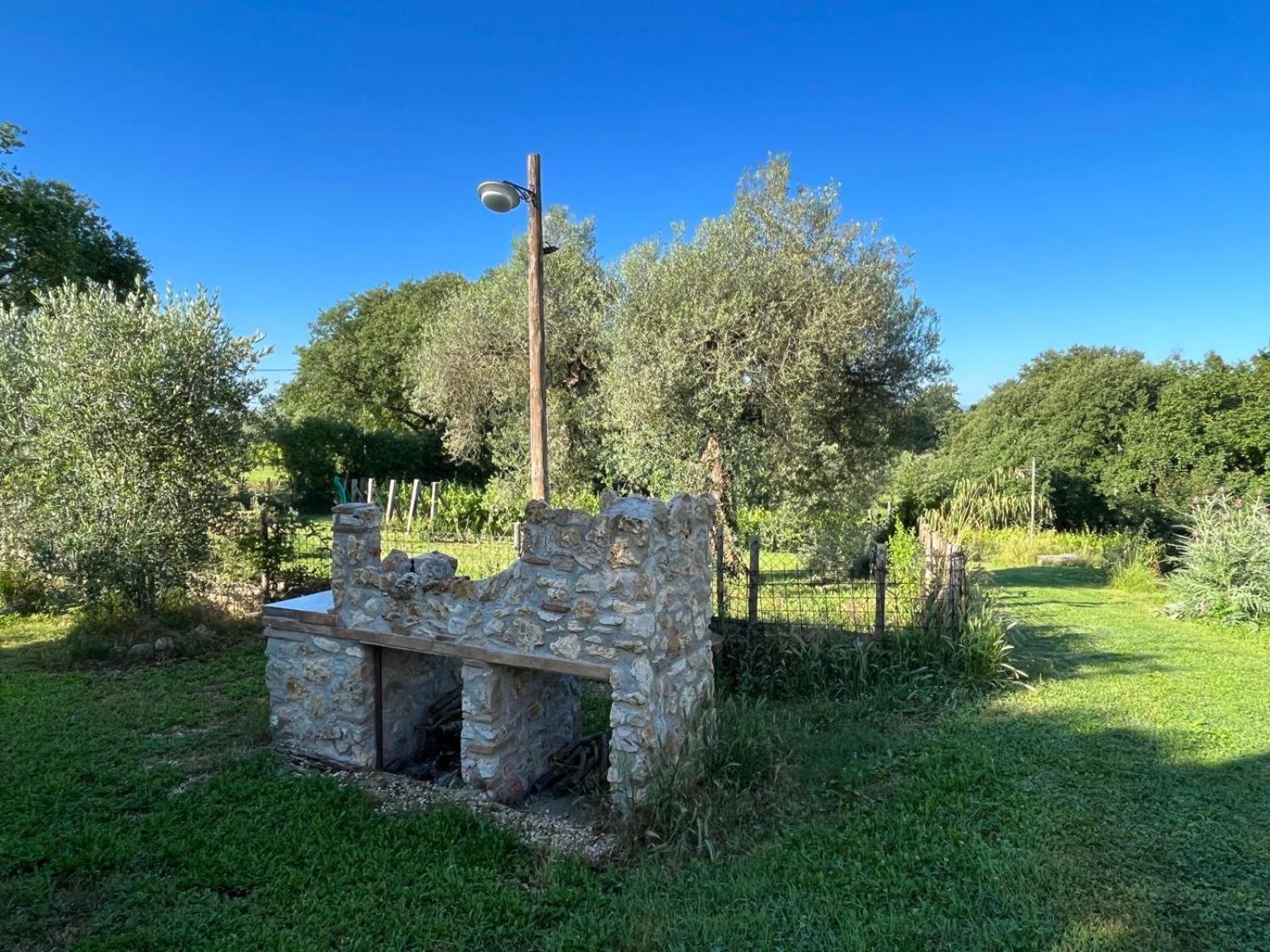 Agriturismo Podere Dell' Olmo Амелія Екстер'єр фото