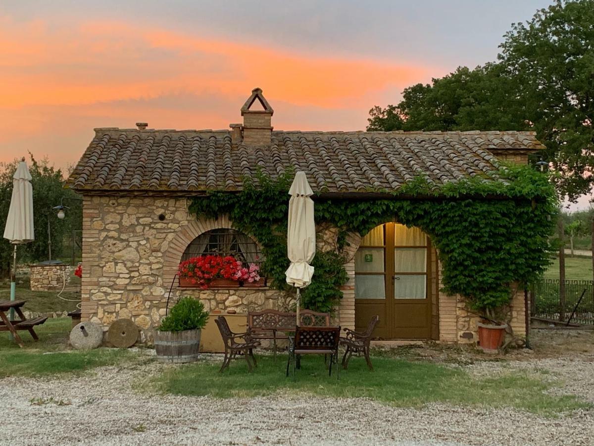 Agriturismo Podere Dell' Olmo Амелія Екстер'єр фото