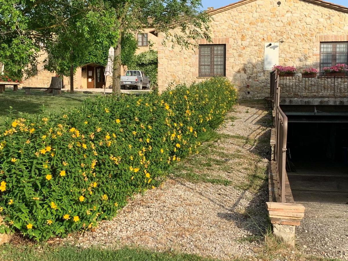 Agriturismo Podere Dell' Olmo Амелія Екстер'єр фото