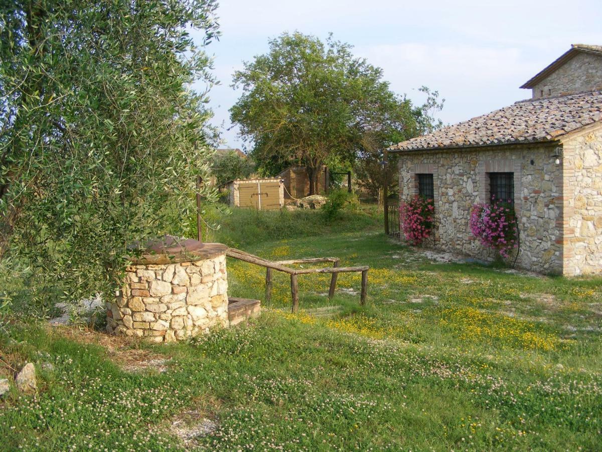 Agriturismo Podere Dell' Olmo Амелія Екстер'єр фото