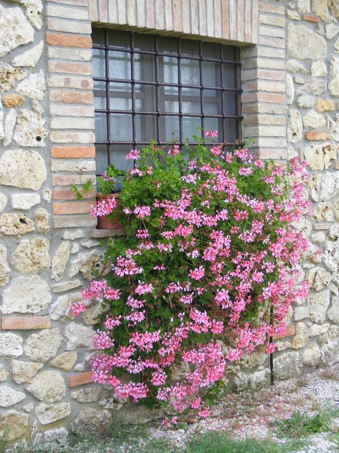 Agriturismo Podere Dell' Olmo Амелія Екстер'єр фото